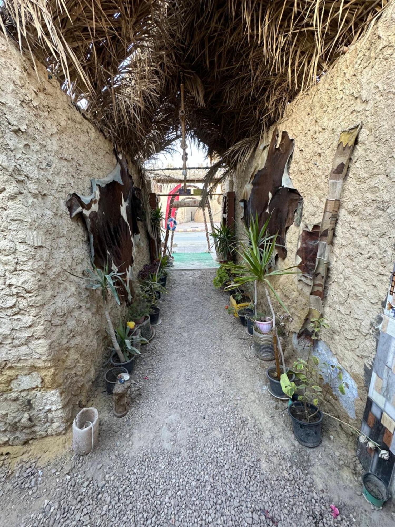 Muhra Camp Siwa Siwa Oasis Exterior foto