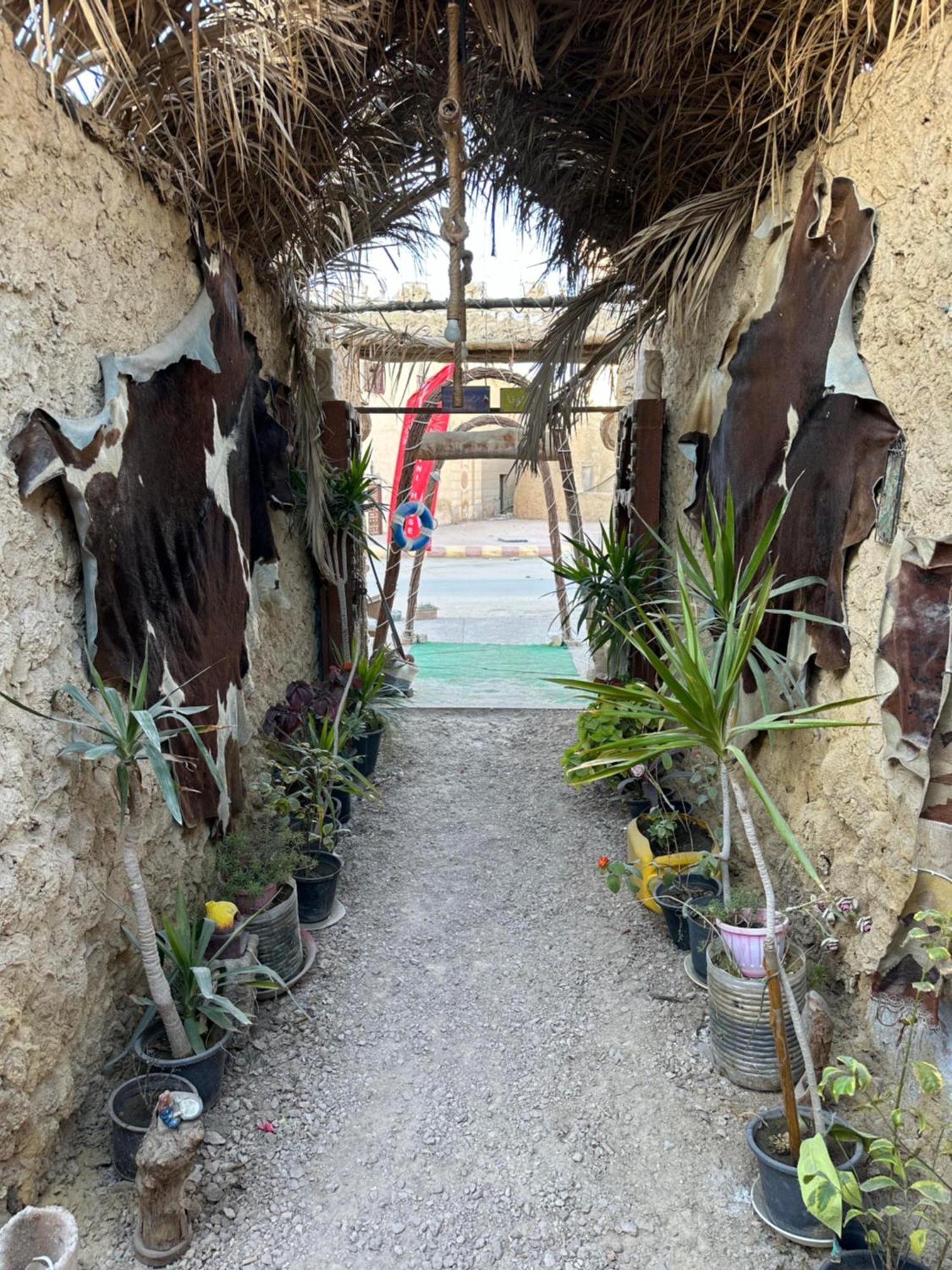 Muhra Camp Siwa Siwa Oasis Exterior foto